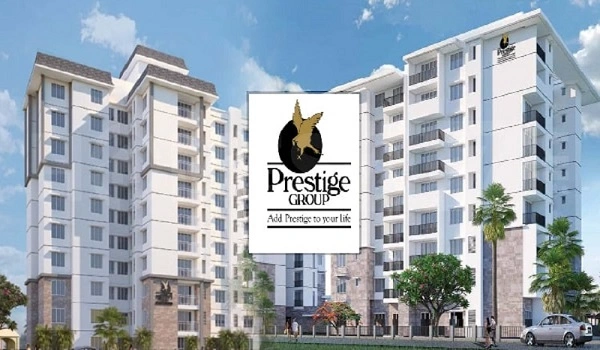 Prestige Olive Oak Gallery
