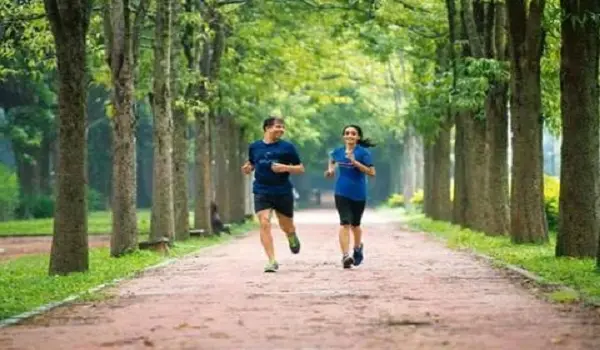 Prestige Olive Oak Jogging Track